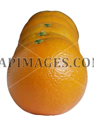 orange5249