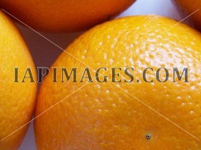 orange5262