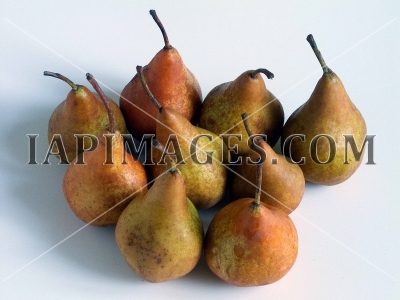 pears2291