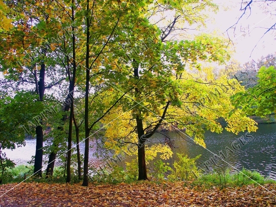 nature in autumn