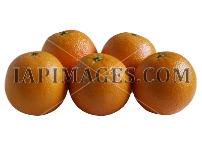 orange5245
