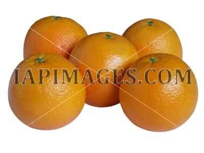 orange5248