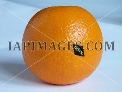 orange5254