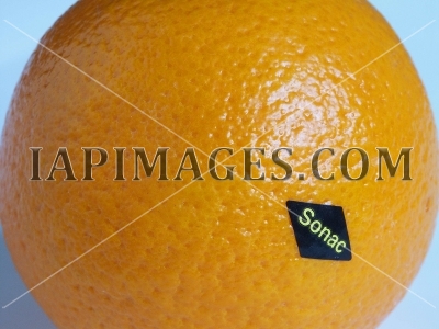 orange5255
