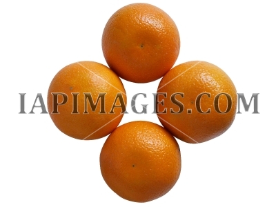 orange5260