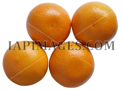 orange5261