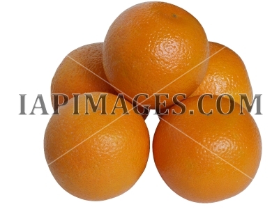 orange5263