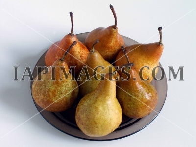 pears2294