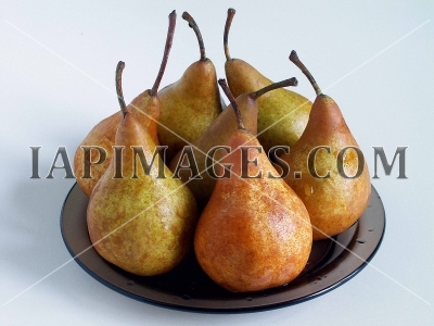 pears2296